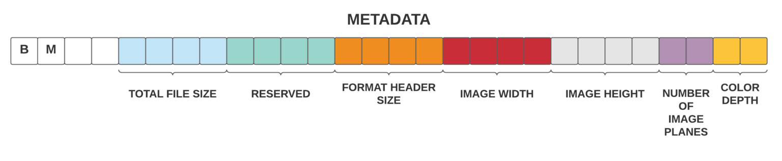 image-1658787746065.png